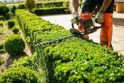 Gardening services Leicester