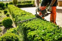 Gardening services Leicester