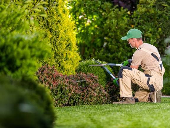 Garden maintenance Leicester