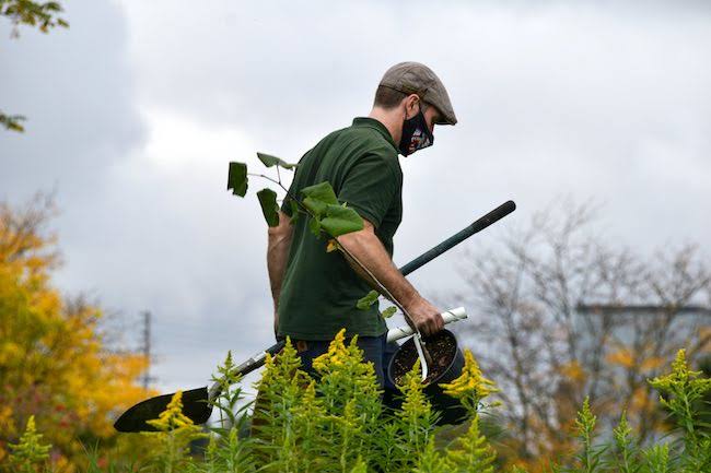 Tree services Leicester